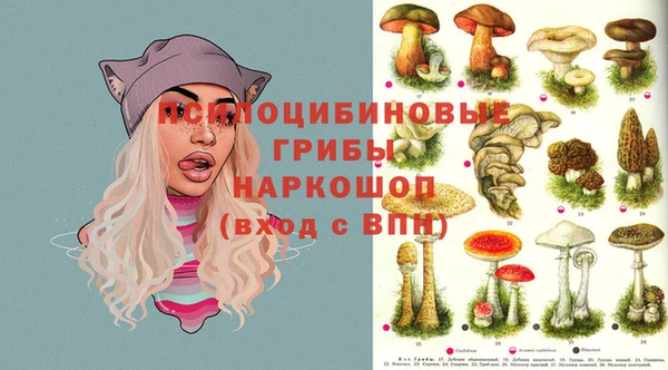 ешки Вязники