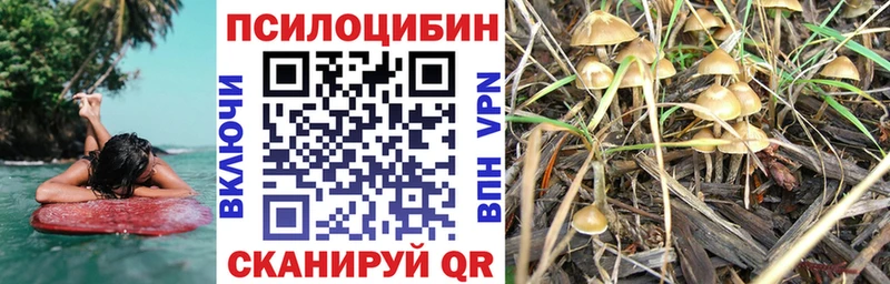 ссылка на мегу   Никольск  Псилоцибиновые грибы Cubensis  купить закладку 